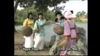 Thập Tam Thái Bảo