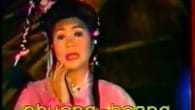 Tôn Tẫng Bàng Quyên