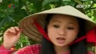 Anh Tôi