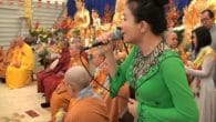 Bông hồng cài áo