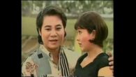 Cánh chim lẻ bạn