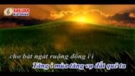 Câu hát quê hương karaoke