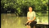 Chim sáo ngày xưa
