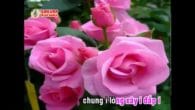 Chung câu nghĩa tình karaoke