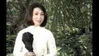 Dạ Hương 2