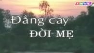 Đắng Cay Đời Mẹ