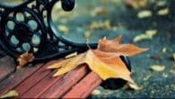 Đếm Giọt Sầu Rơi