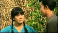 Đi cấy