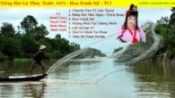 Hoa Trinh Nữ- Nhạc Trước 75