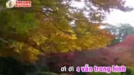 Khúc hát ân tình karaoke