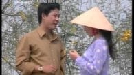 Mùa bông điên điển