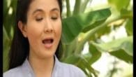 Niềm An Vui