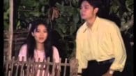 Niềm Thương Nỗi Nhớ