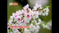 Nước non vĩnh viễn mùa xuân
