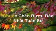 Quan Hoàng Mười karaoke