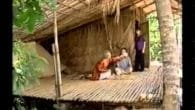 Sầu Vương Ý Nhạc