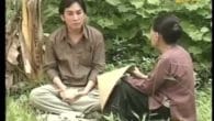 Tại vì em yêu anh