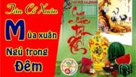 Tân Cổ Cải Lương Mừng Xuân 2016