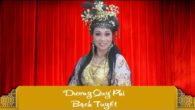 Tân Cổ Dương Quý Phi