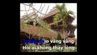 Thái Bình Quê Lúa karaoke