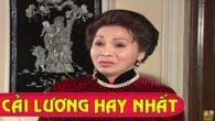 Cải lương: Tóc Mai Sợi Vắn