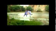 Về Bến Mơ