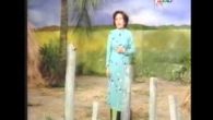 Bà Mẹ Vườn Cau