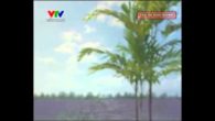 Chuyện Một Dòng Sông