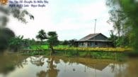 Chuyến Xe Miền Tây