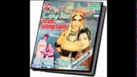 Cung Đàn Trên Sông Lạnh