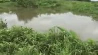 Điệu Buồn Phương Nam