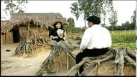 Giấc Ngủ Đầu Nôi