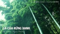 Lá Của Rừng Xanh