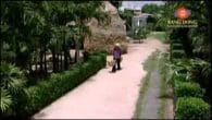 Lá Trầu Xanh