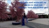 Nhớ Xuân Đất Mẹ