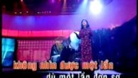 Những Đồi Hoa Sim