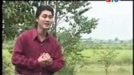 Ơn Nghĩa Sinh Thành