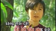 Sáng Mai Chị Đã Theo Chồng (karaoke)