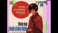 Tâm Sự Loài Chim Biển