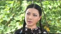 Tân cổ Đặc Sắc