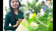 Thương Người Xa Xứ