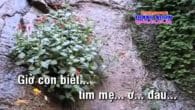 Tìm Mẹ (karaoke)