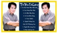 Tuyển Tập Những Ca Khúc Tân Cổ Hay Nhất Của Hoài Thanh