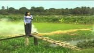 Vu Lan Nhớ Mẹ