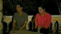 Đời Sương Gió