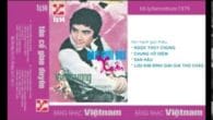 Bức Tranh Hòa Bình