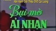Bụi Mờ Ải Nhạn