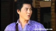 Bướm Lượn Vườn Xuân