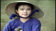 Bướm Trắng Tơ Vàng