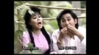 Cám Ơn Anh Xui